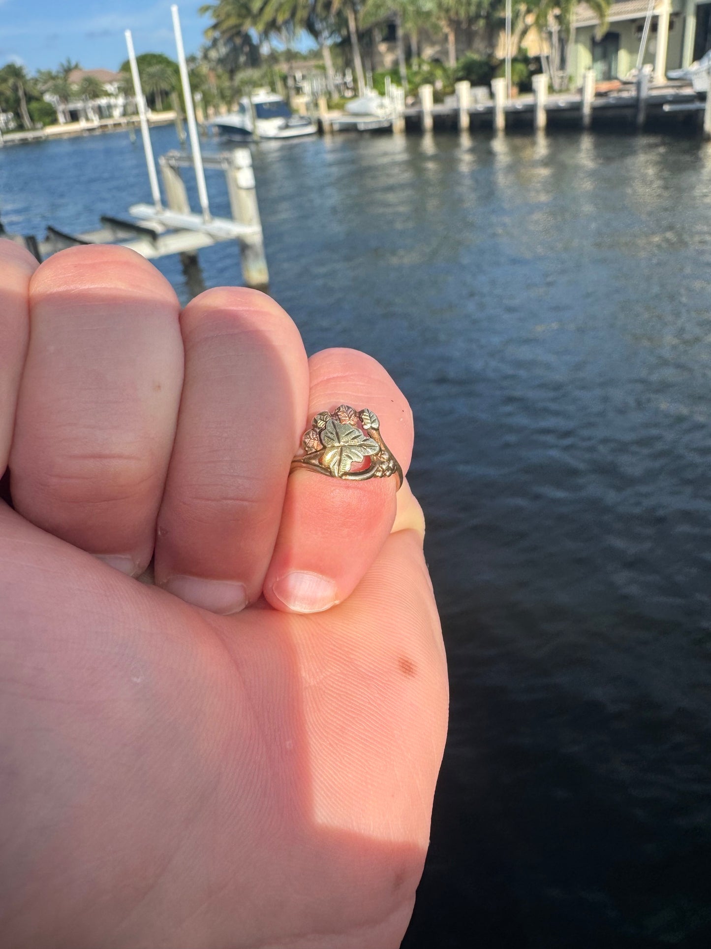 10k Dainty Gold Ring, yellow gold with rose accents